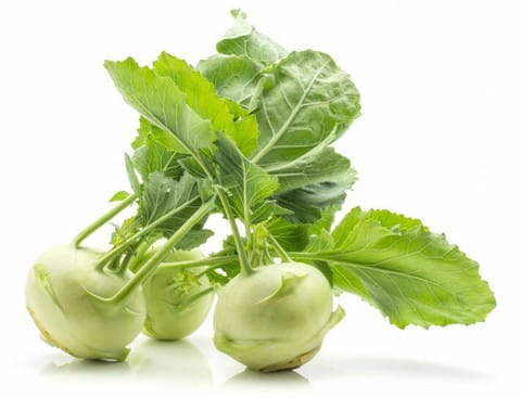 Knol Khol (ನೂಕೋಲು)