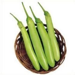 Brinjal long green