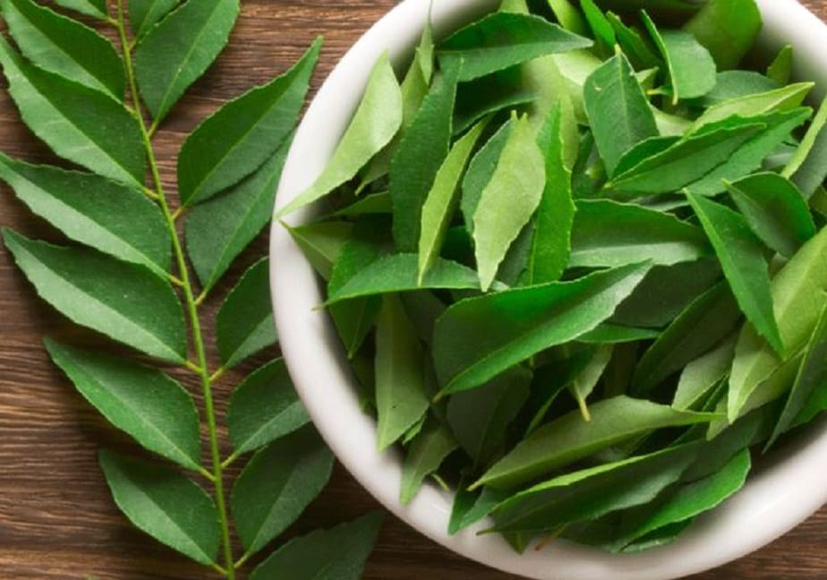 Curry Leaves